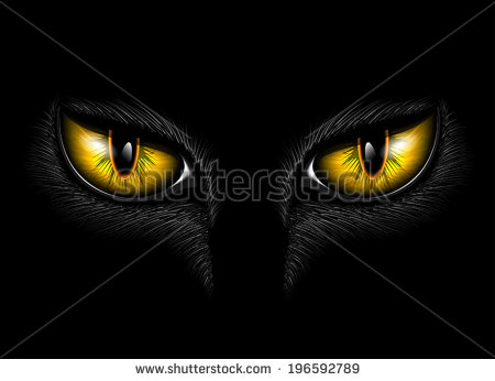 stock-vector-yellow-cat-s-eyes-196592789.jpg