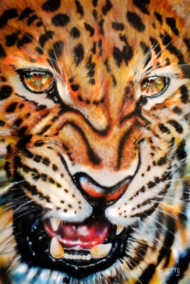 Leopard---Final-image.jpg